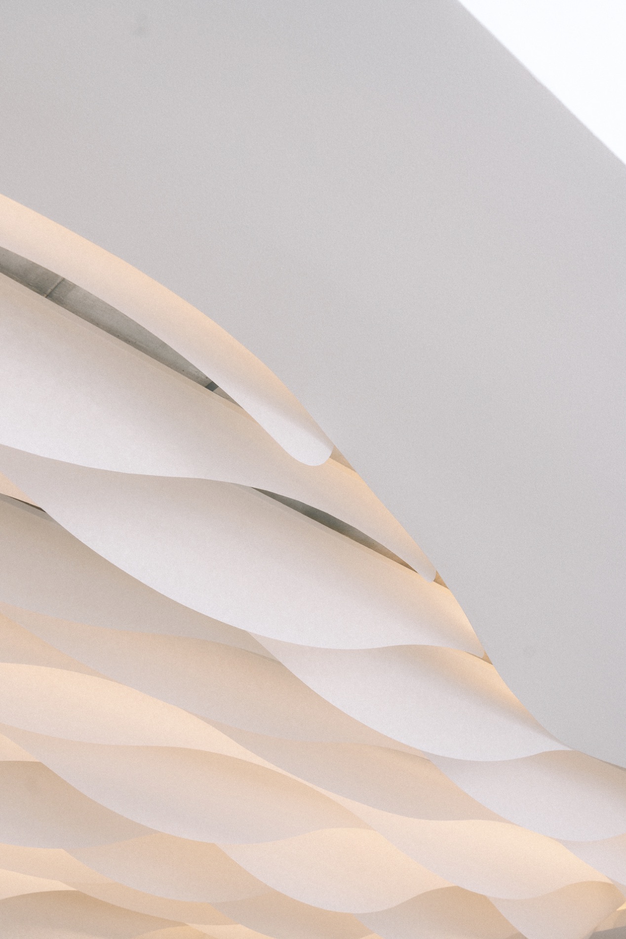Plafond sculptural de l'Office du Tourisme à Saint-Tropez